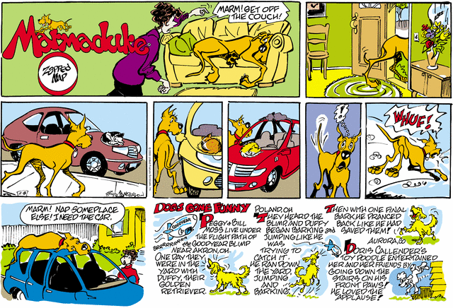 marmaduke